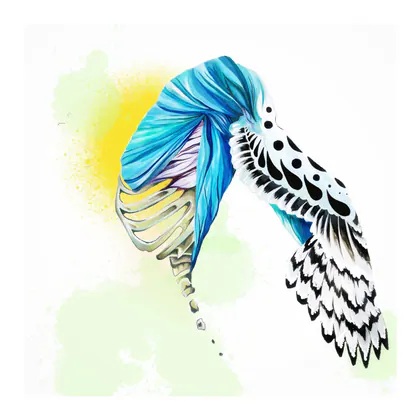 Robin F. Sharpe Embody Structural Integration & Therapeutic Massage logo