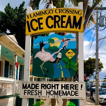 Flamingo Crossing logo