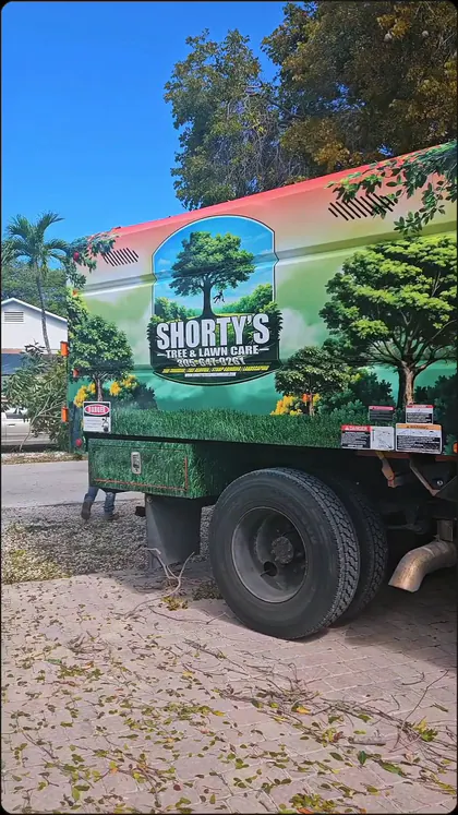 Shorty's Tree & Lawn Care LLC media 1