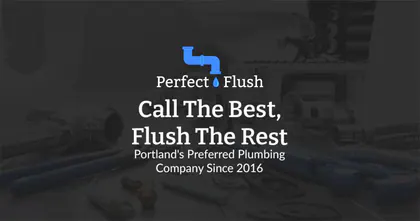 Perfect Flush media 1