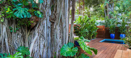 Deborah Hindsley Landscape Design and Maintenance media 1