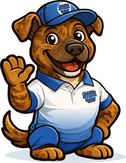 Quality Service Today Plumbing & Septic media 1
