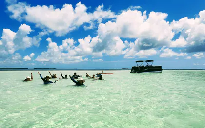Florida Keys Sandbar Adventures media 1