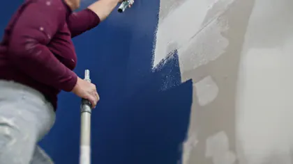 BRAUN PAINTING CO LLC media 1