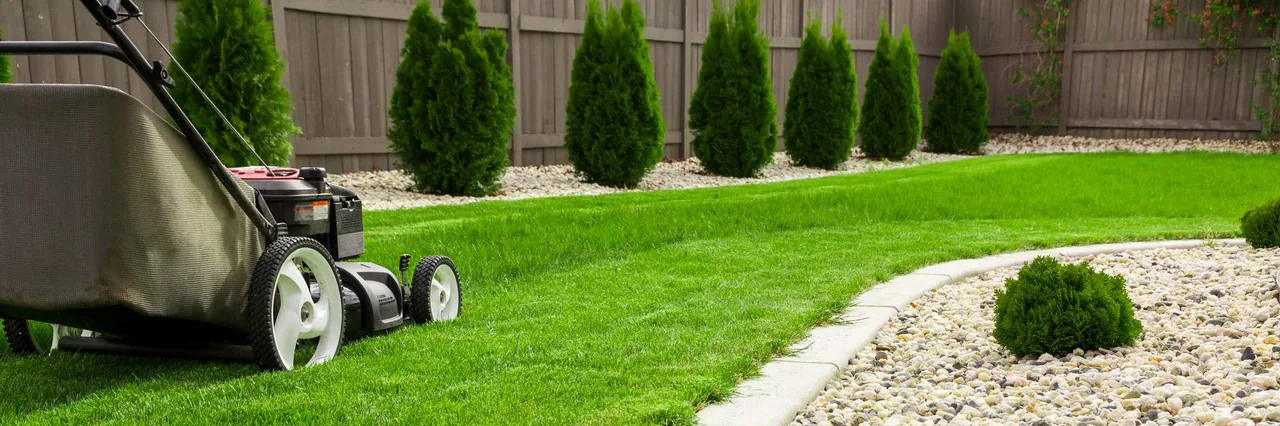 Aphrodite Island Landscaping profile media