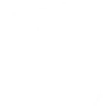 Statler Orthodontics logo
