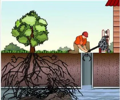 United Sewer And Drain media 1