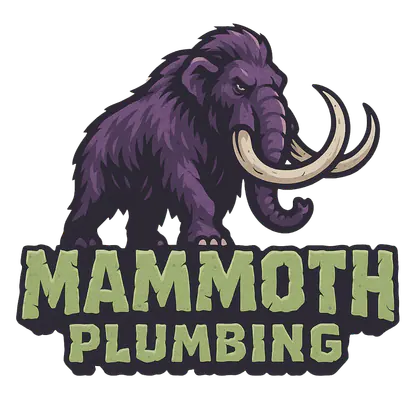 Mammoth Plumbing media 1