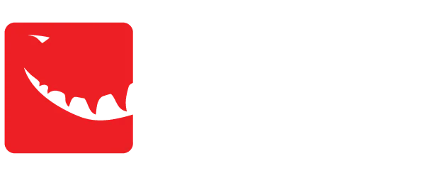 Raptor Rooter & Plumbing profile media