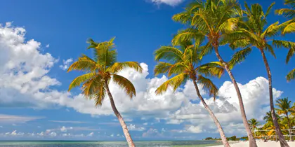 At Home in Key West by AvantStay media 1