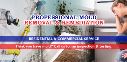 Mold Remediation Of Boynton Beach media 1