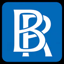 BERNHARDT Mold Remediation and Painting Restoration, Inc. logo