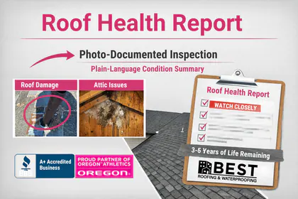 BEST Roofing & Waterproofing media 1