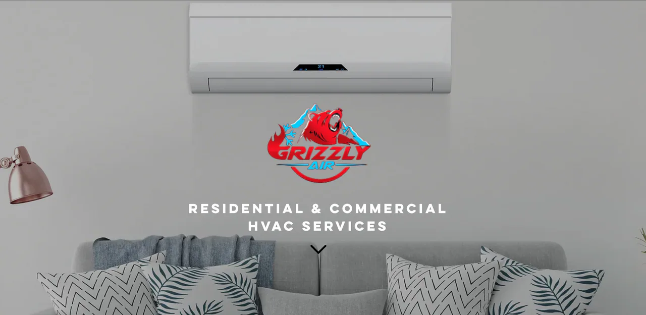 Grizzly Air profile media