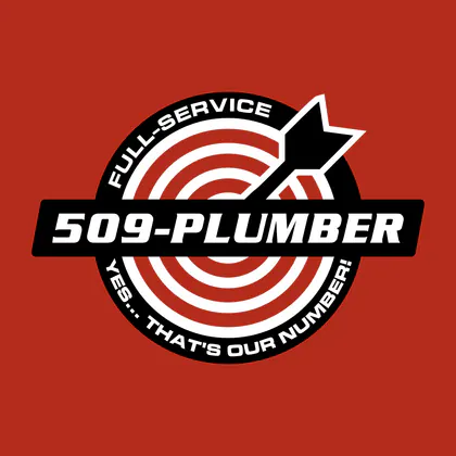 509 Plumber media 1