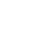 Elevate Painting LLC logo