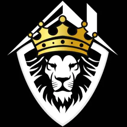 Lionshield Roofing Company media 1