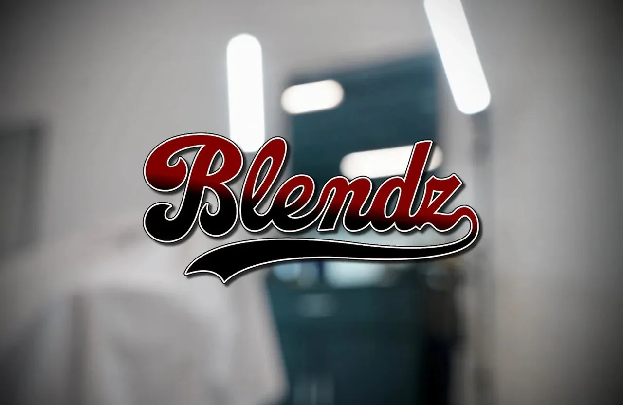 Blendz profile media