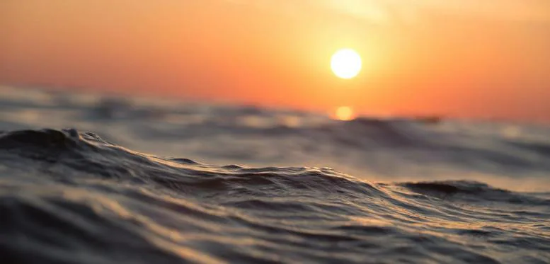 Cremation Services By The Sea profile media