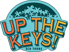 Up The Keys Tours logo
