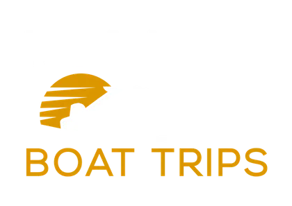 Key West Boat Trips media 1
