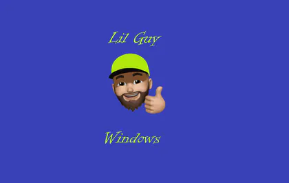 Lil Guy Windows media 1