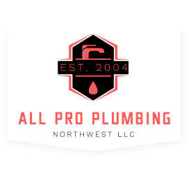 All Pro Plumbing Northwest LLC media 1