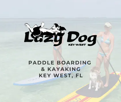 Lazy Dog Adventures media 1