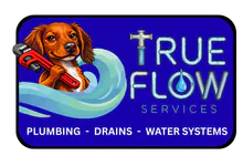 True Flow Services logo