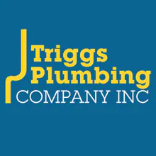 Triggs Plumbing logo