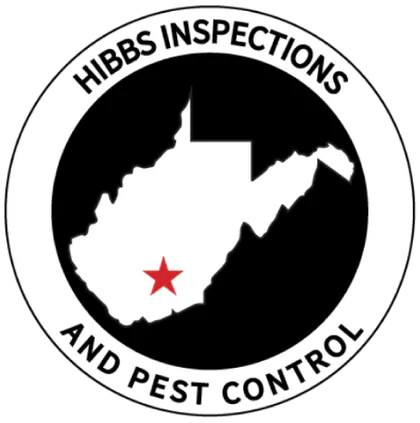 Southern WV Services media 1
