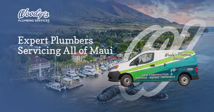Woody's Plumbing Services media 1