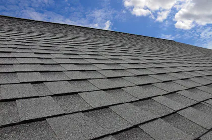 TruEco Construction - Roofing media 1